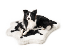 Load image into Gallery viewer, Animal Print Memory Foam Dog Bed - Black Faux Cowhide