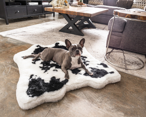 Animal Print Memory Foam Dog Bed - Black Faux Cowhide