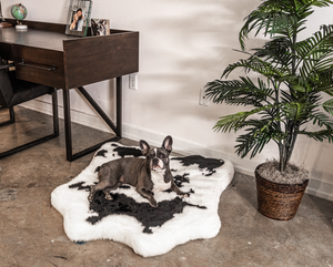 Animal Print Memory Foam Dog Bed - Black Faux Cowhide