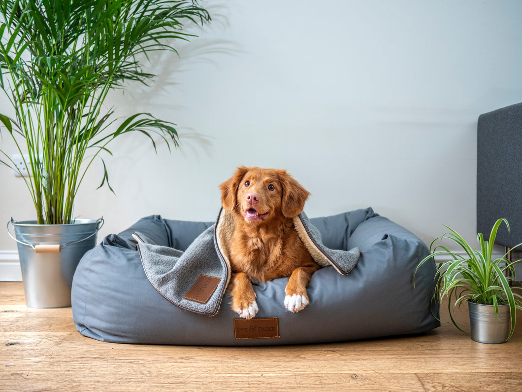 Sky Blue Heated Dog Bed